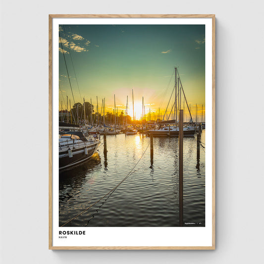 Sommeraften på Roskilde Havn II