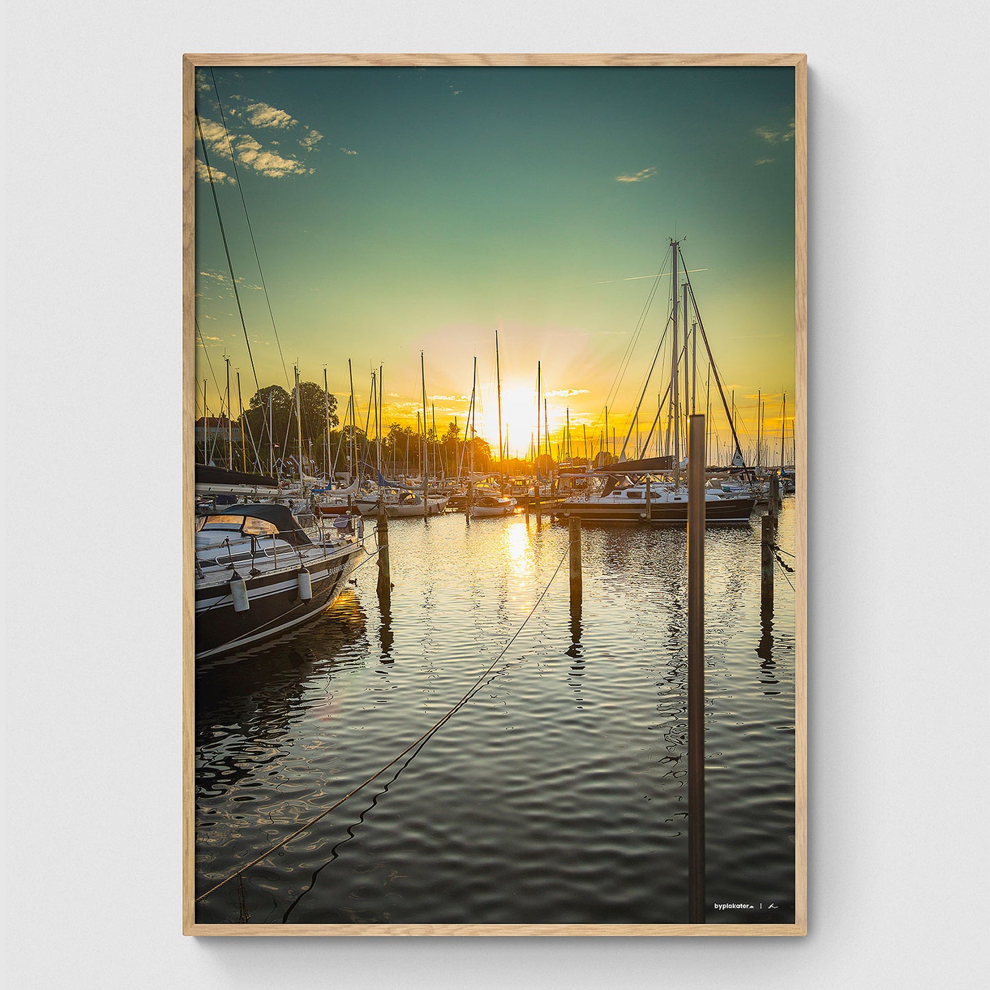Sommeraften på Roskilde Havn II