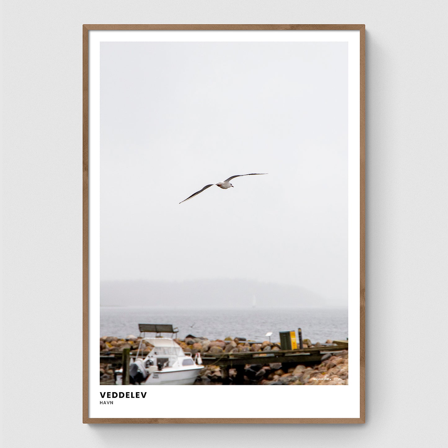 Måge over Veddelev Havn