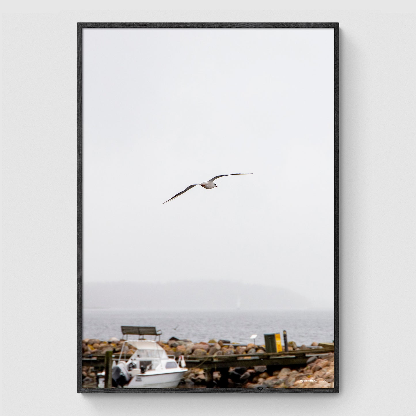 Måge over Veddelev Havn