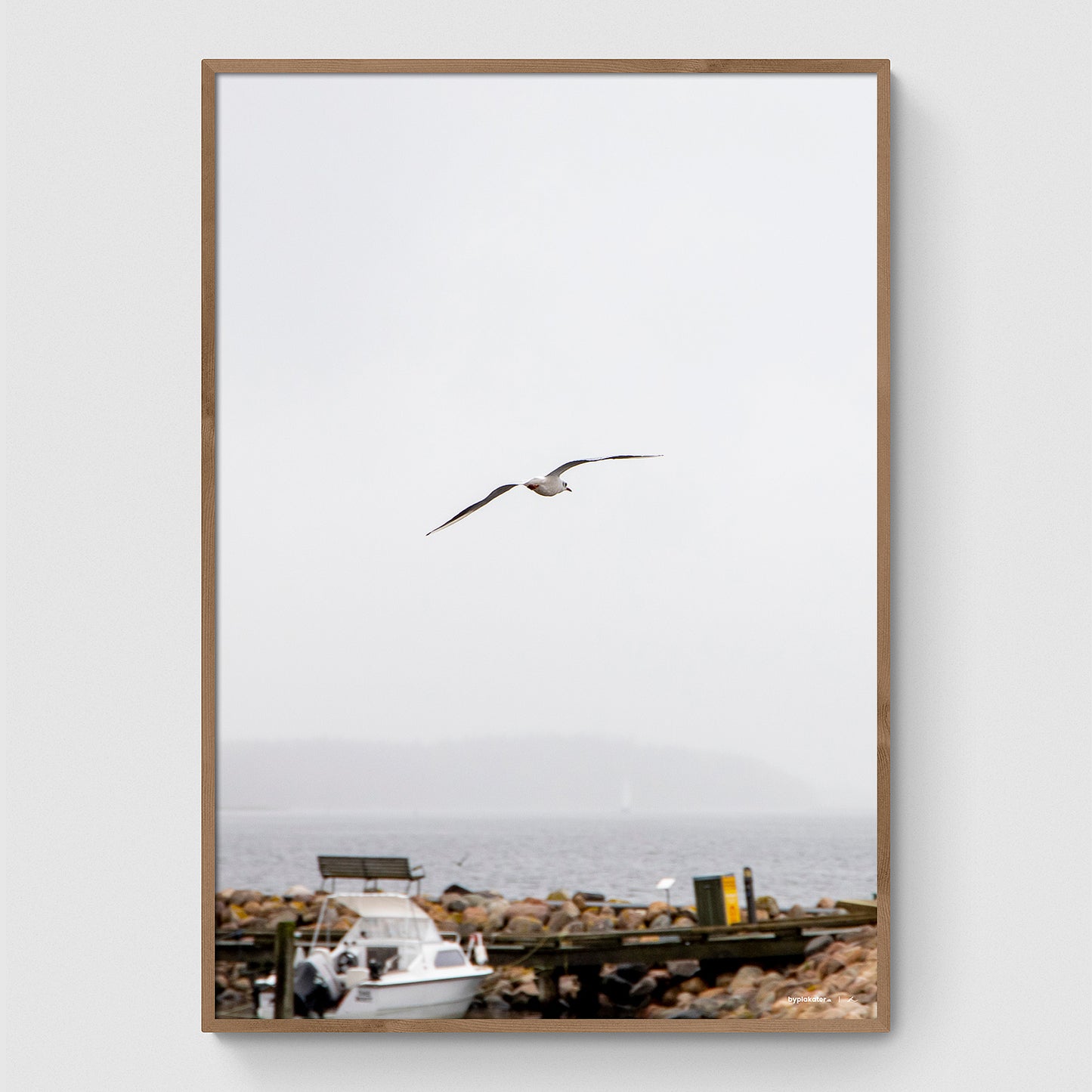 Måge over Veddelev Havn