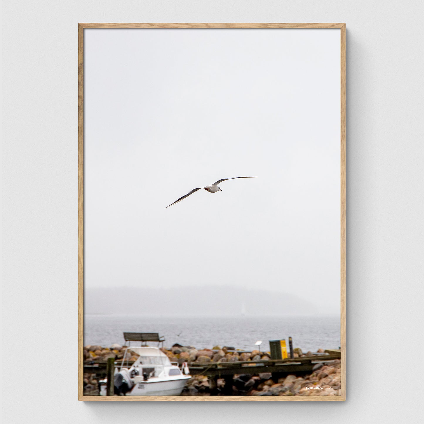 Måge over Veddelev Havn