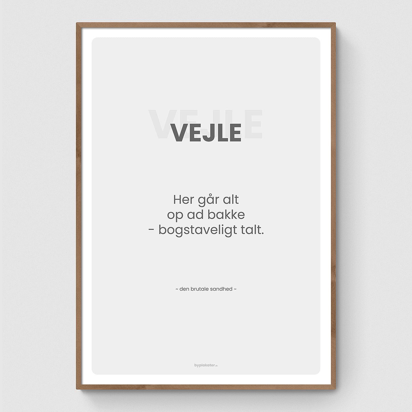 Vejle - Den Brutale Sandhed