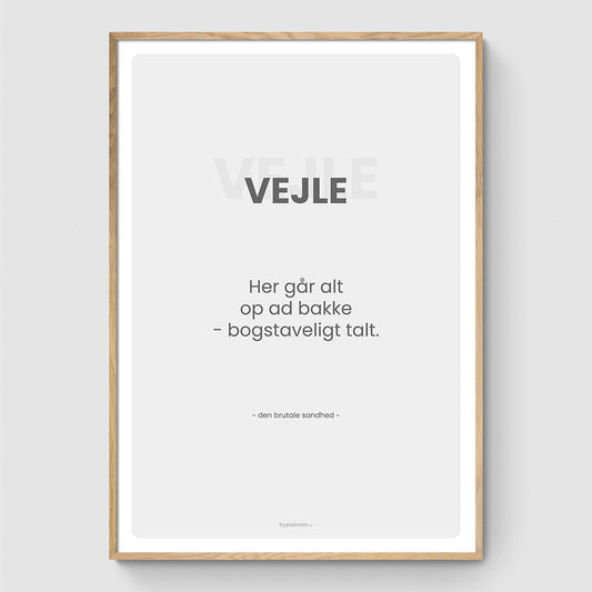 Vejle - Den Brutale Sandhed